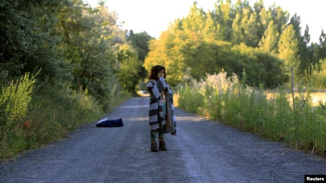 An Afghan girl stands on a road after crossing the Hungarian-Serbian border illegally near the village of Asotthalom on June 18.