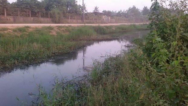 Local Lao villagers accuse the Lao Brewery Co. in Vientiane of polluting the water in a nearby marsh, Oct. 20, 2016.