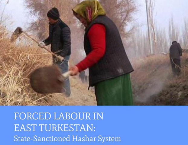 Uyghur workers are depicted clearing a ditch on the cover of a report on forced labor by the Uyghur World Congress, Nov. 2016.