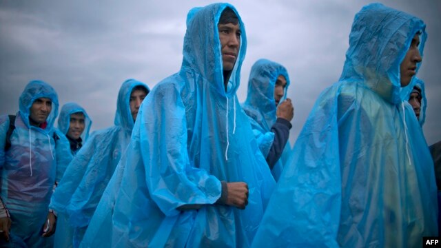 Migrants and refugees wearing raincoats queue at a camp to register after crossing the Greek-Macedonian border near Gevgelija, Macedonia.