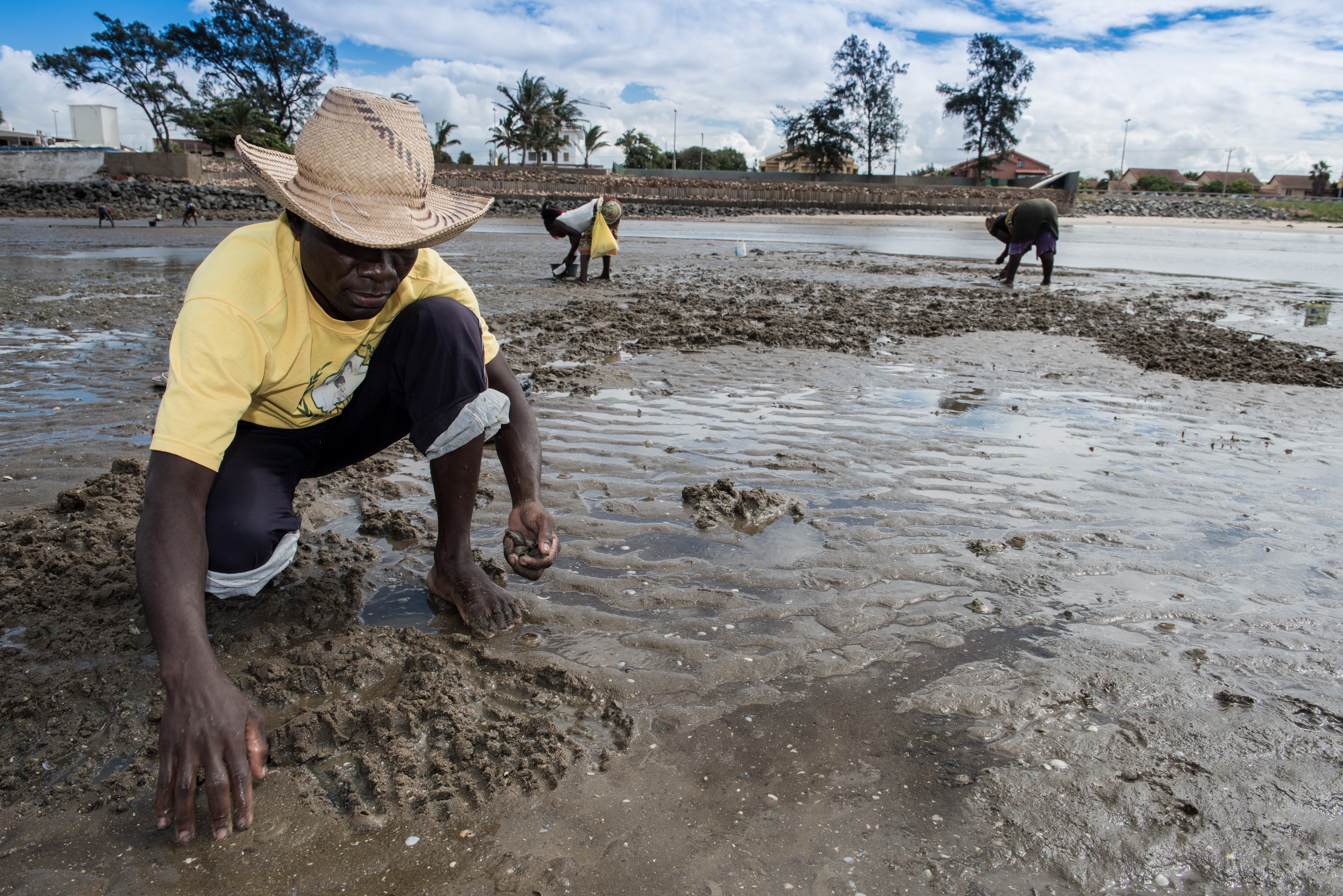 Clam pickers at low tide in the Mozambique capital of Maputo