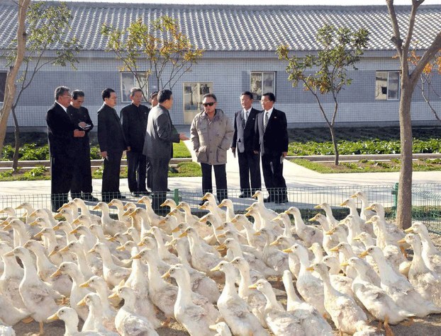 North Korean leader Kim Jong Il inspecting the Tudan Duck Farm in Pyongyang in a photo released Oct. 13, 2011.