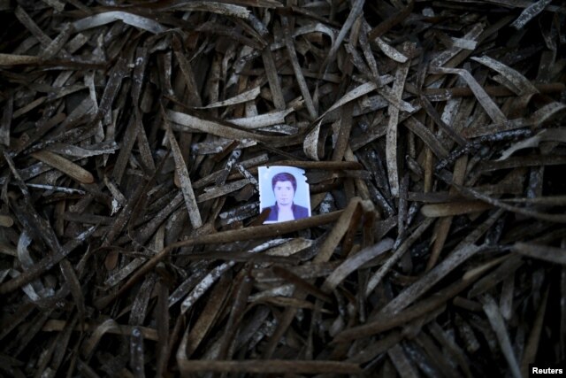 A passport photo left behind by a migrant is seen among seaweed on a beach on the Greek island of Lesbos.
