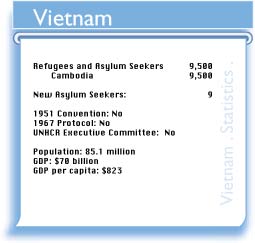 VNM figures