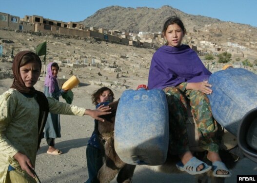 Children carry drinking water by donkey in Kabul.