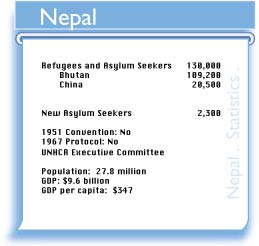 NPL figures