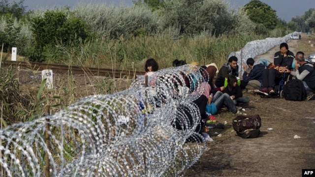 A migrant family rests beside the border fence near the village of Asotthalom, at the Hungarian-Serbian border. The razor-wire fence was cut by migrants seeking to enter Hungary.