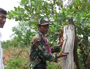 A soldier surveys land in southern Cambodia's Kampot province, July 2012.