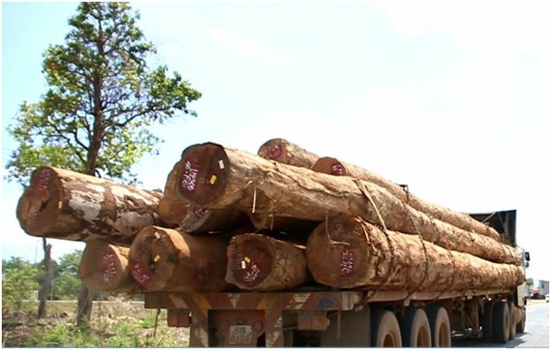A logging truck stopped on a road in Attapeu province on its way to Vietnam, May 2015