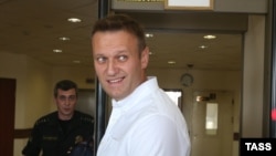 Russian anticorruption campaigner and opposition figure Aleksei Navalny. 