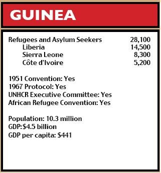 Guinea figures