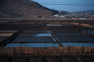 Women work on a rice paddy alongside the railway line from Pyongyang to North Pyongan province, April 8, 2012.