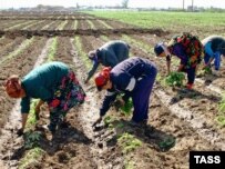 Tajik migrant workers in Russia (file photo)