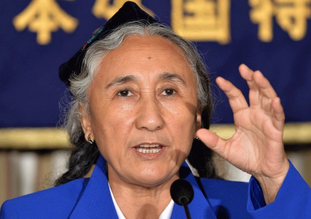 Uyghur leader Rebiya Kadeer speaks during a press conference in Tokyo, June 20, 2013.