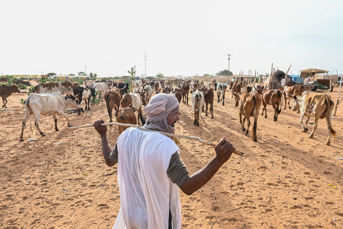 Mauritania. Refugee fire brigade founder honoured for environmental activism