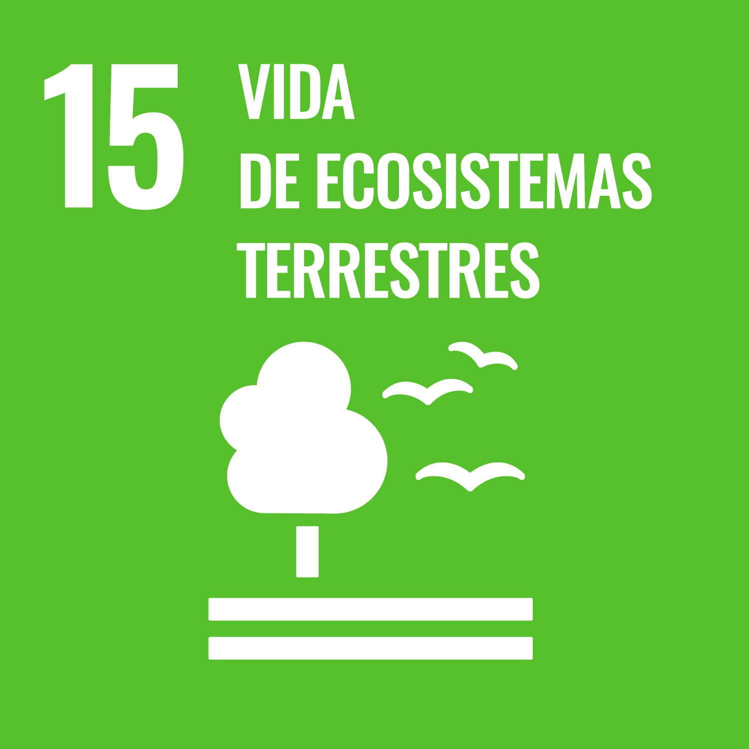 15. Vida de ecosistemas terrestres