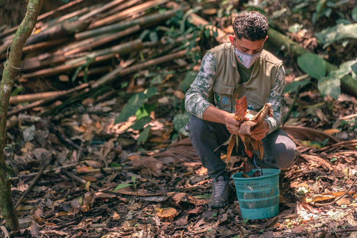 Guatemala. A former 'nature beginner,' now on the front lines of the fight against climate change