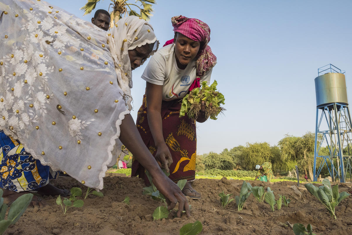 Mali. Gao women's agricultural association given help to grow