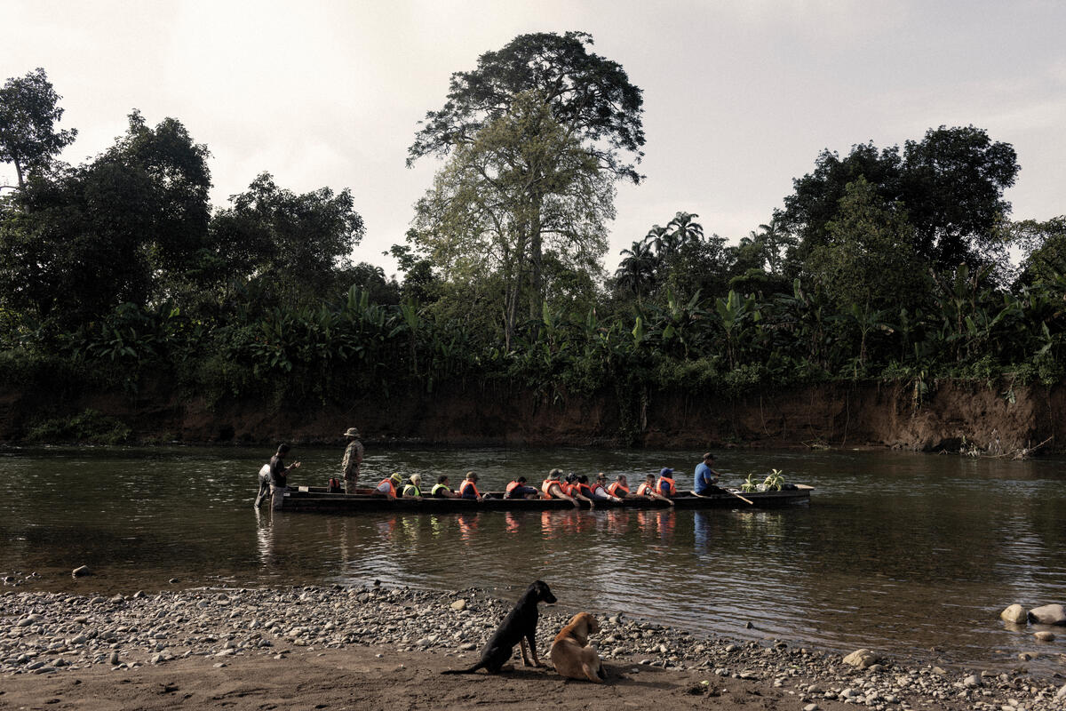 Panama. Refugees and migrants brave hazardous jungles of Darien Gap on their way north