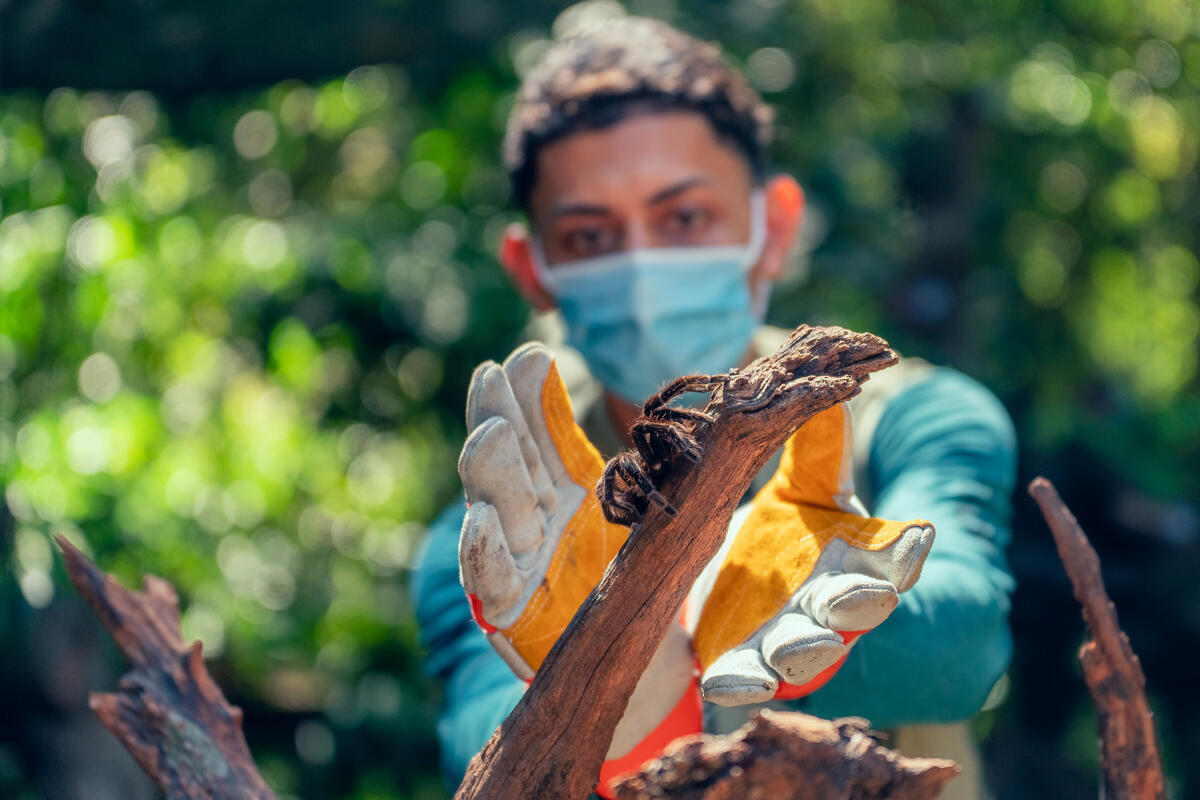 Guatemala. Refugee forest ranger on front line against climate change