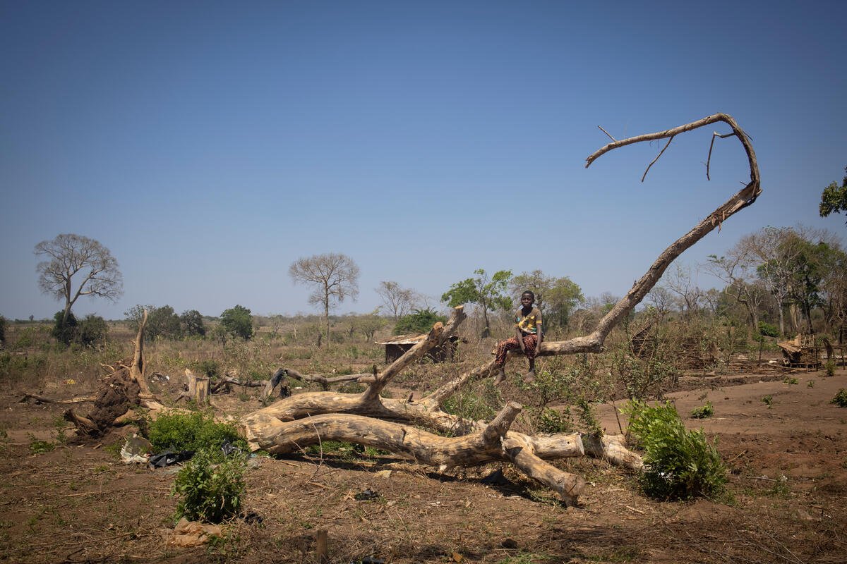 Mozambique. Displaced boy in Corrane site