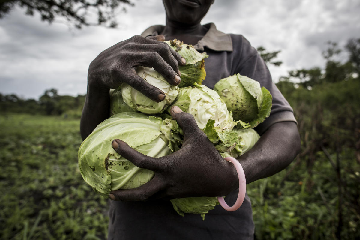 Democratic Republic of Congo. South Sudanese refugees grow local economy